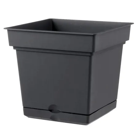 Vaso Quadro Still Teraplast