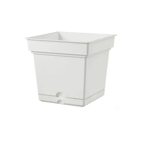 Vaso Quadro Still Teraplast