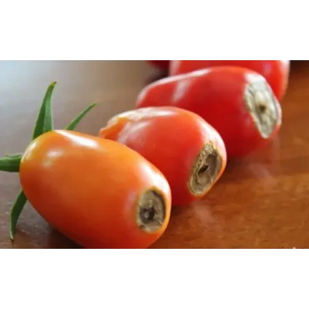 Integratore per pomodori e ortaggi FLORTIS