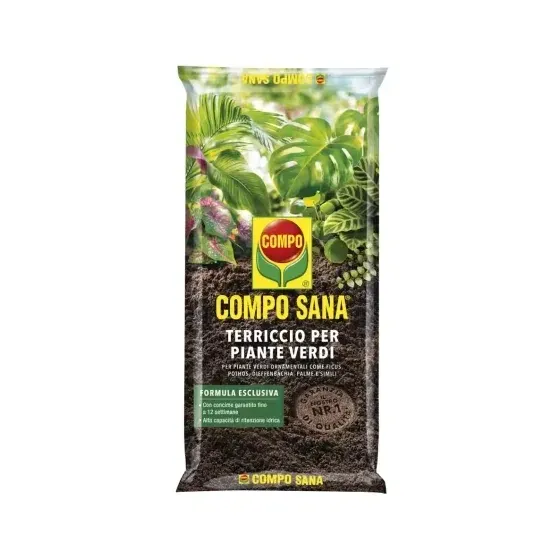 Terriccio Piante Verdi Di Qualit COMPO SANA - Monstera, dracaena, yucca e  altre | eBay