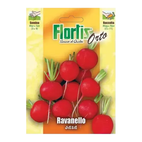 Semi Ravanello Saxa FLORTIS