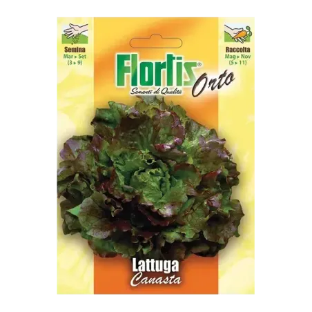 Semi Lattuga Canasta FLORTIS
