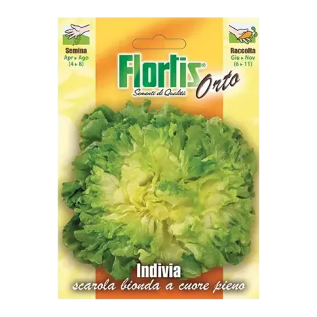 Semi Indivia Scarola Bionda FLORTIS