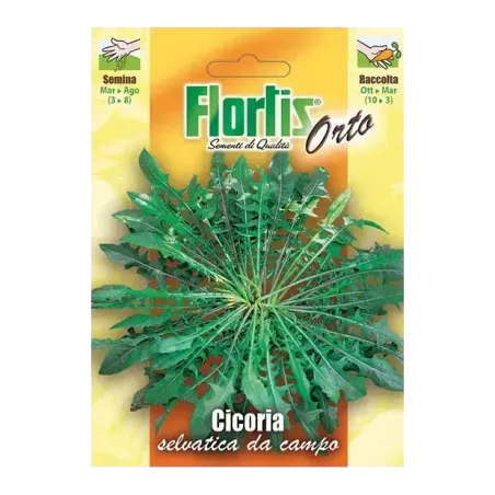 Semi Cicoria Selvatica da Campo FLORTIS
