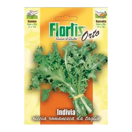 Semi di Indivia Riccia Romanesca da Taglio FLORTIS