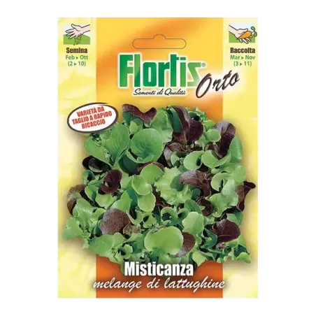 Semi di Misticanza di Lattughine FLORTIS