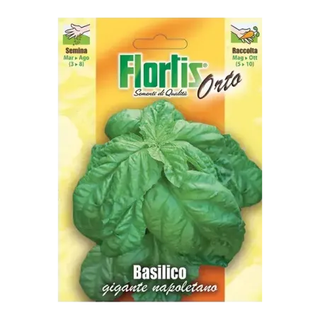 Semi di Basilico Gigante Napoletano FLORTIS