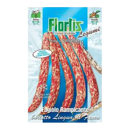 Semi di Fagiolo Rampicante Borlotto FLORTIS