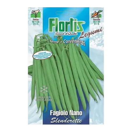Semi di Fagiolo Nano Verde FLORTIS