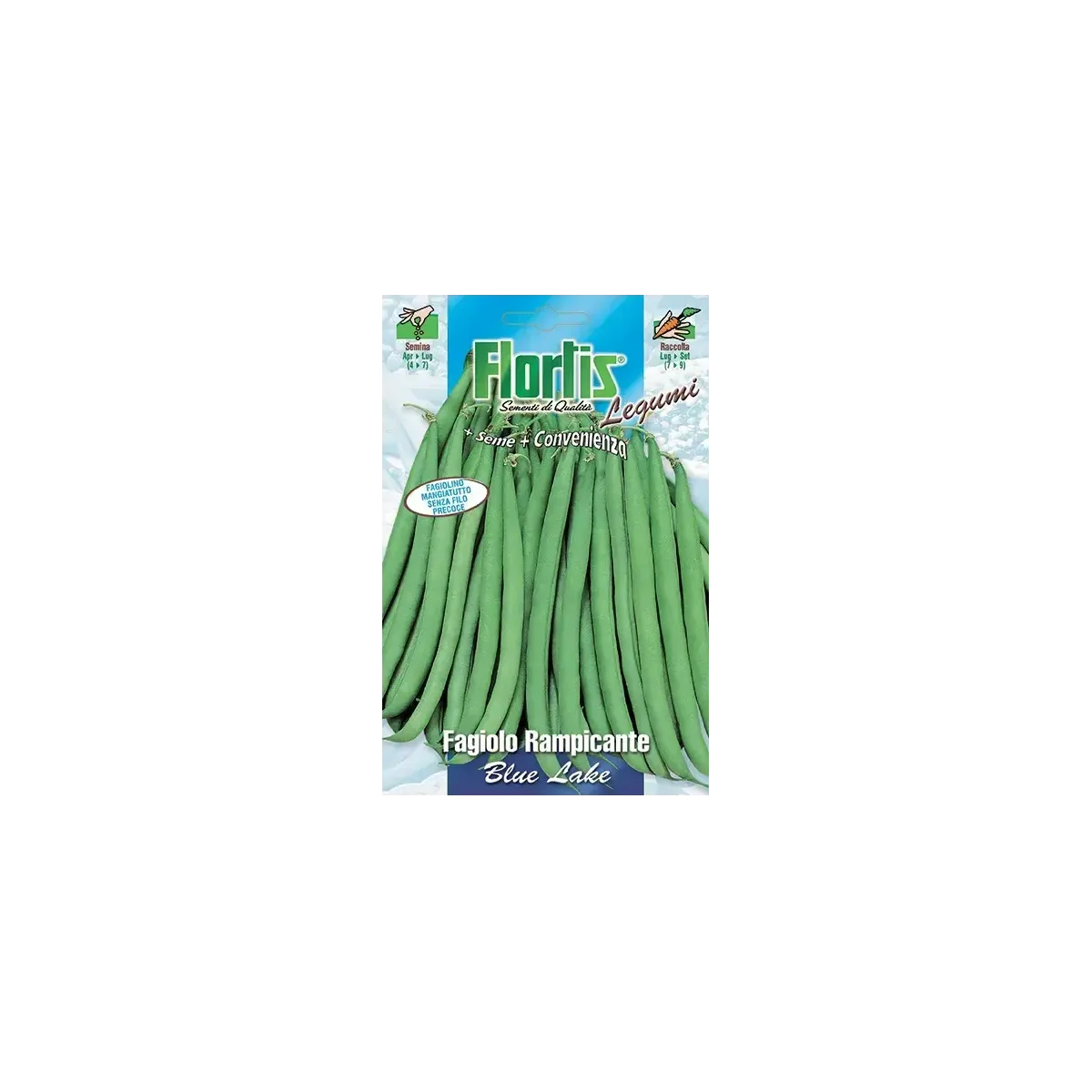 Semi di Fagiolo Rampicante Verde FLORTIS Semi di Fagiolo Rampicante Verde FLORTIS