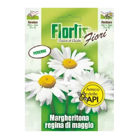 Semi di Margheritona Regina di Maggio FLORTIS