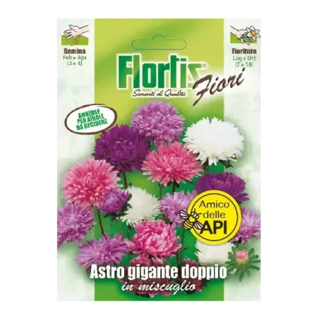 Semi di Astro Gigante Doppio FLORTIS