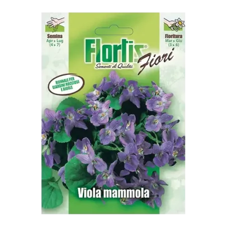 Semi di Viola Mammola FLORTIS