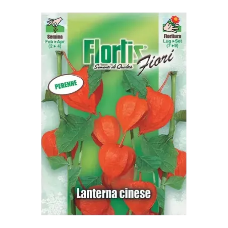 Semi di Lanterna Cinese FLORTIS