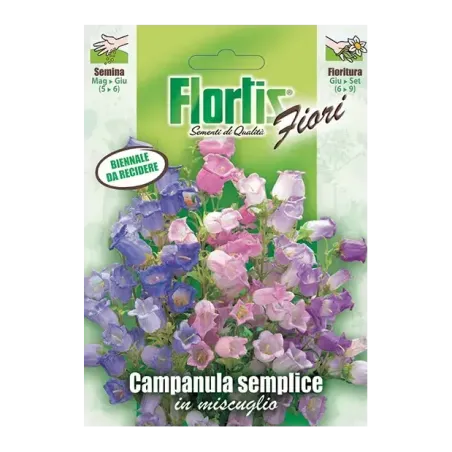 Semi di Campanula Semplice FLORTIS