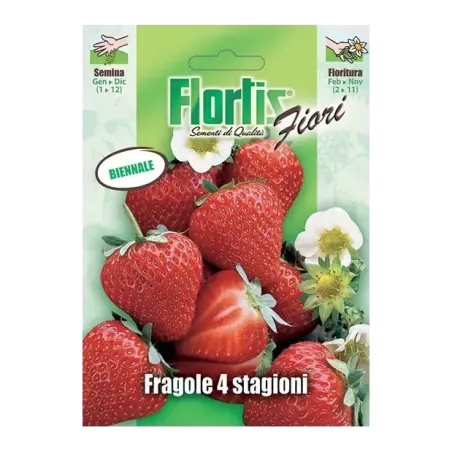 Semi Fragola 4 Stagioni FLORTIS