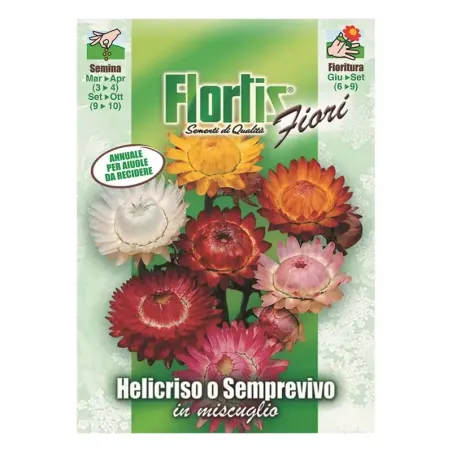 Semi di Helicriso o Semprevivo FLORTIS