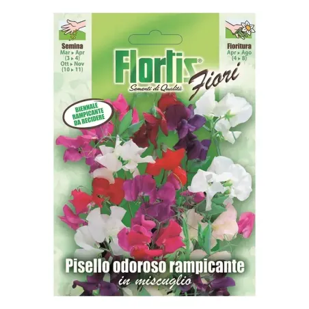 Semi di Pisello Odoroso Rampicante FLORTIS