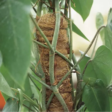 Tutore Fibra di Cocco VERDEMAX