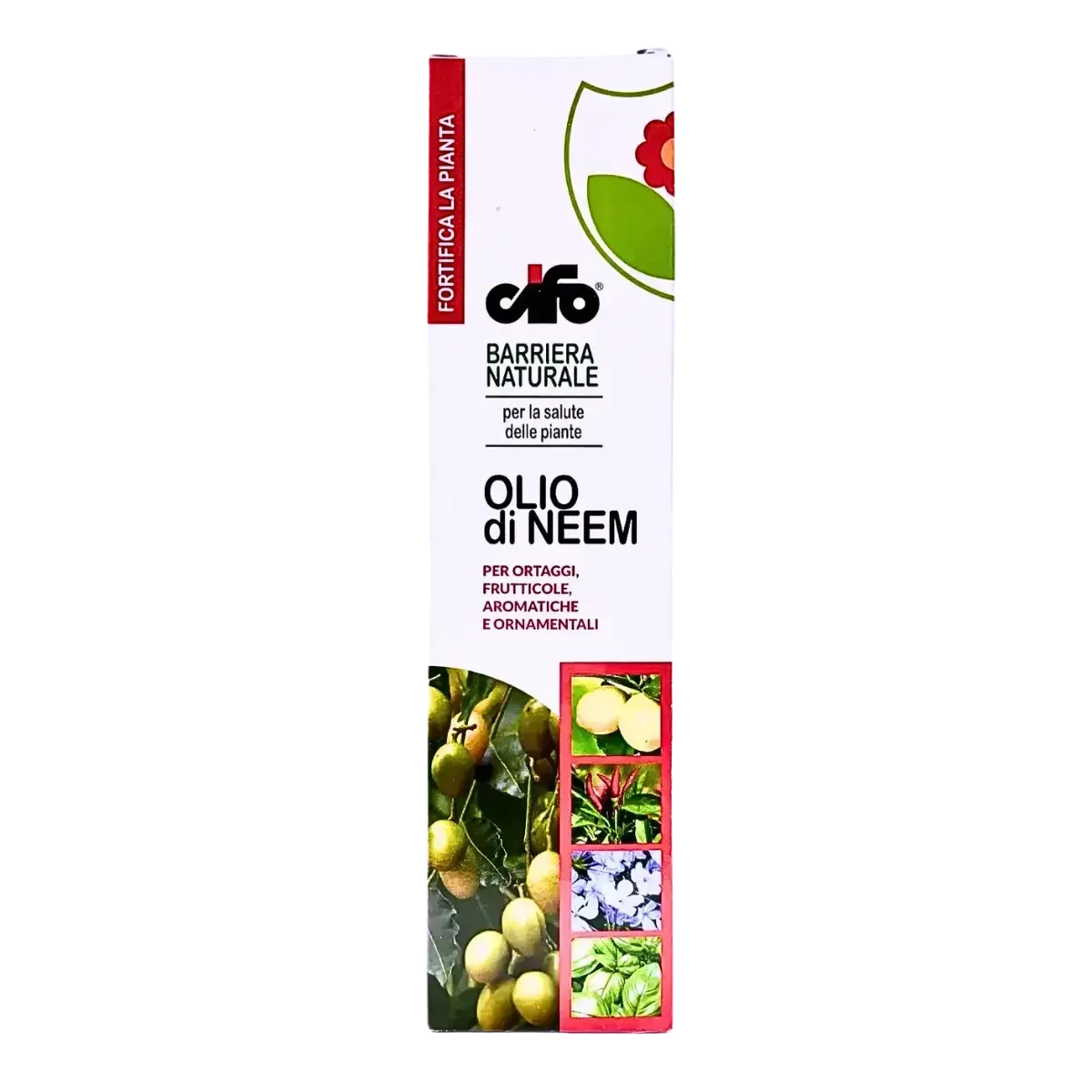 Olio di Neem Concentrato CIFO Olio di Neem Concentrato CIFO