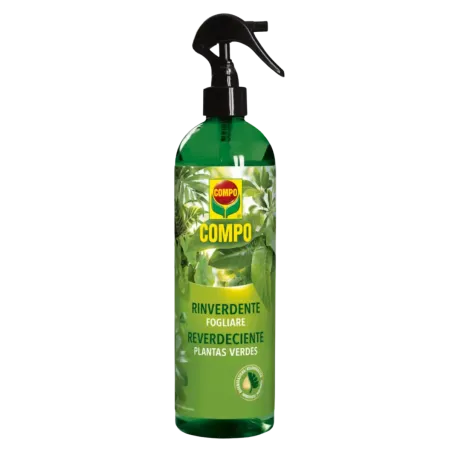 Rinverdente Fogliare Spray COMPO