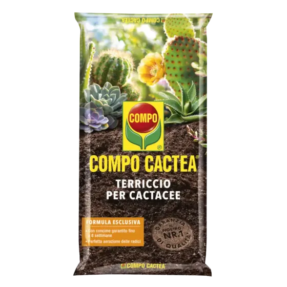 Terriccio per Cactacee COMPO CACTEA
