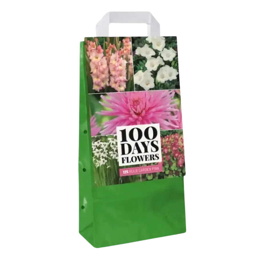 Bulbi Estivi MIX Rosa - 100 Giorni di fioritura - JUB HOLLAND Bulbi Estivi MIX Rosa - 100 Giorni di fioritura - JUB HOLLAND