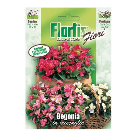Semi di Begonia in Miscuglio FLORTIS