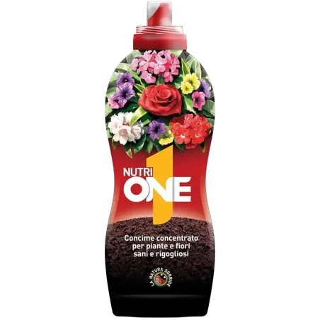 Nutrione Nutri One