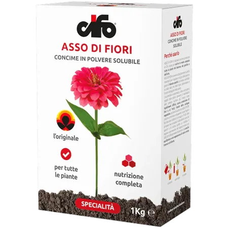 Asso di Fiori CIFO