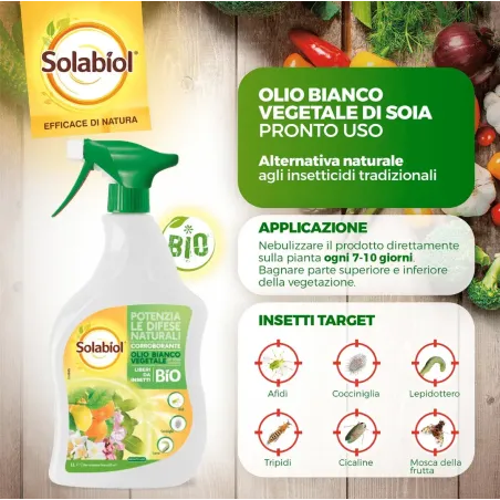 Olio Bianco Vegetale di Soia Concentrato SOLABIOL