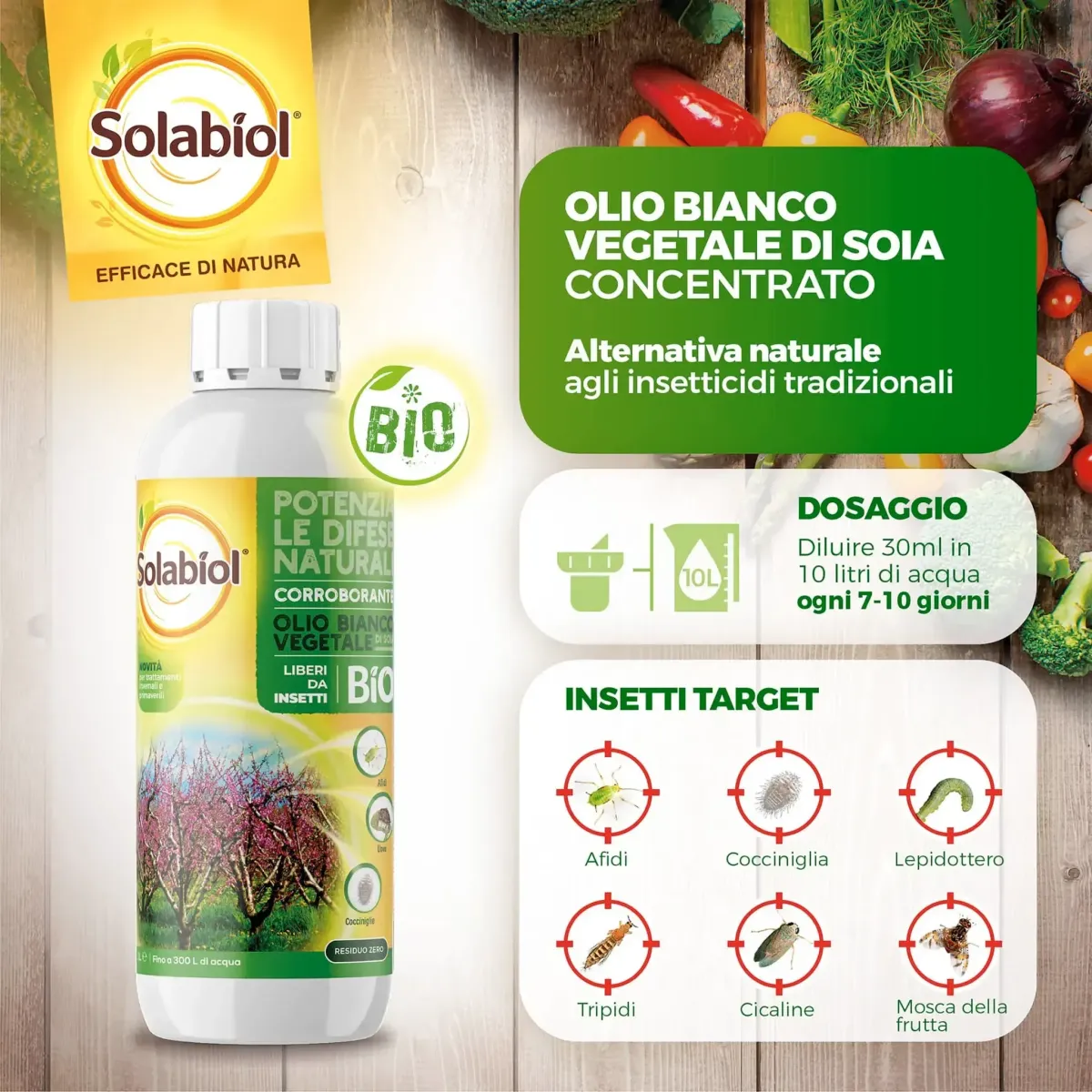 Olio Bianco Vegetale di Soia Concentrato SOLABIOL