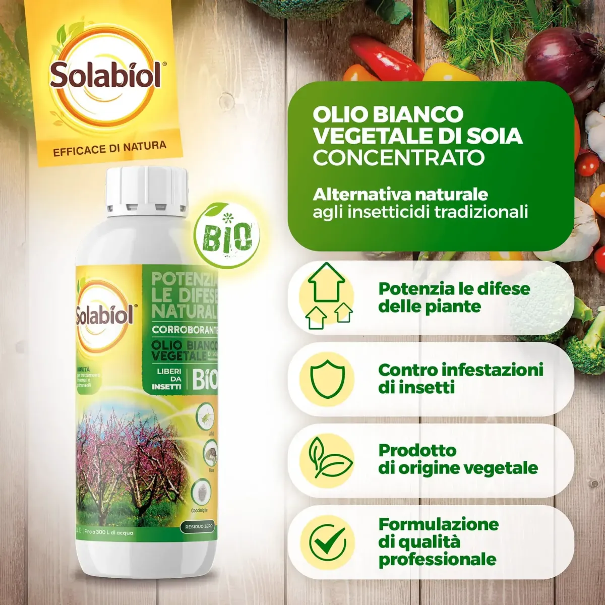 Olio Bianco Vegetale di Soia Concentrato SOLABIOL