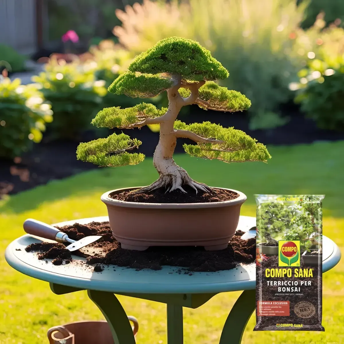 Terriccio per Bonsai COMPO SANA