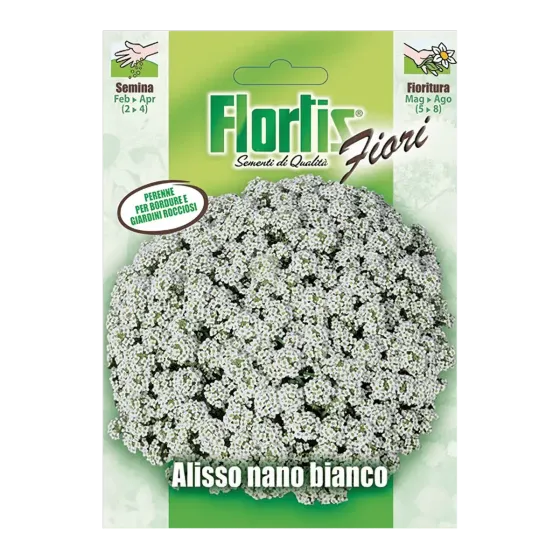 Semi di Alisso Nano Bianco FLORTIS