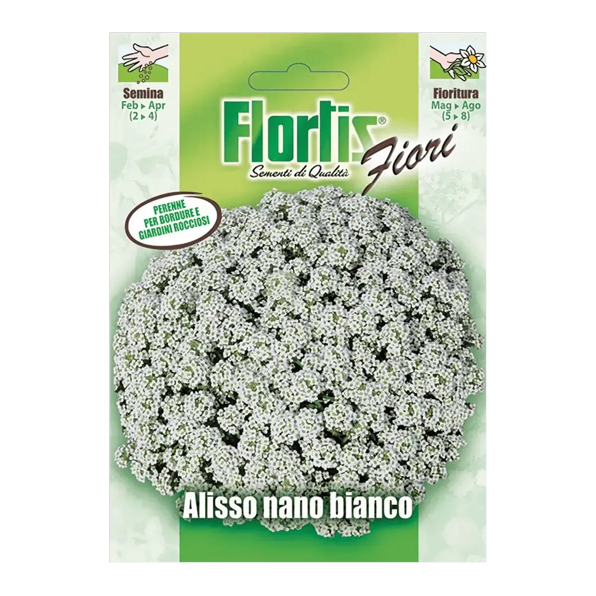 Semi di Alisso Nano Bianco FLORTIS
