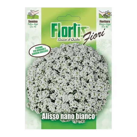 Semi di Alisso Nano Bianco FLORTIS