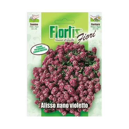 Semi di Alisso Nano Violetto FLORTIS
