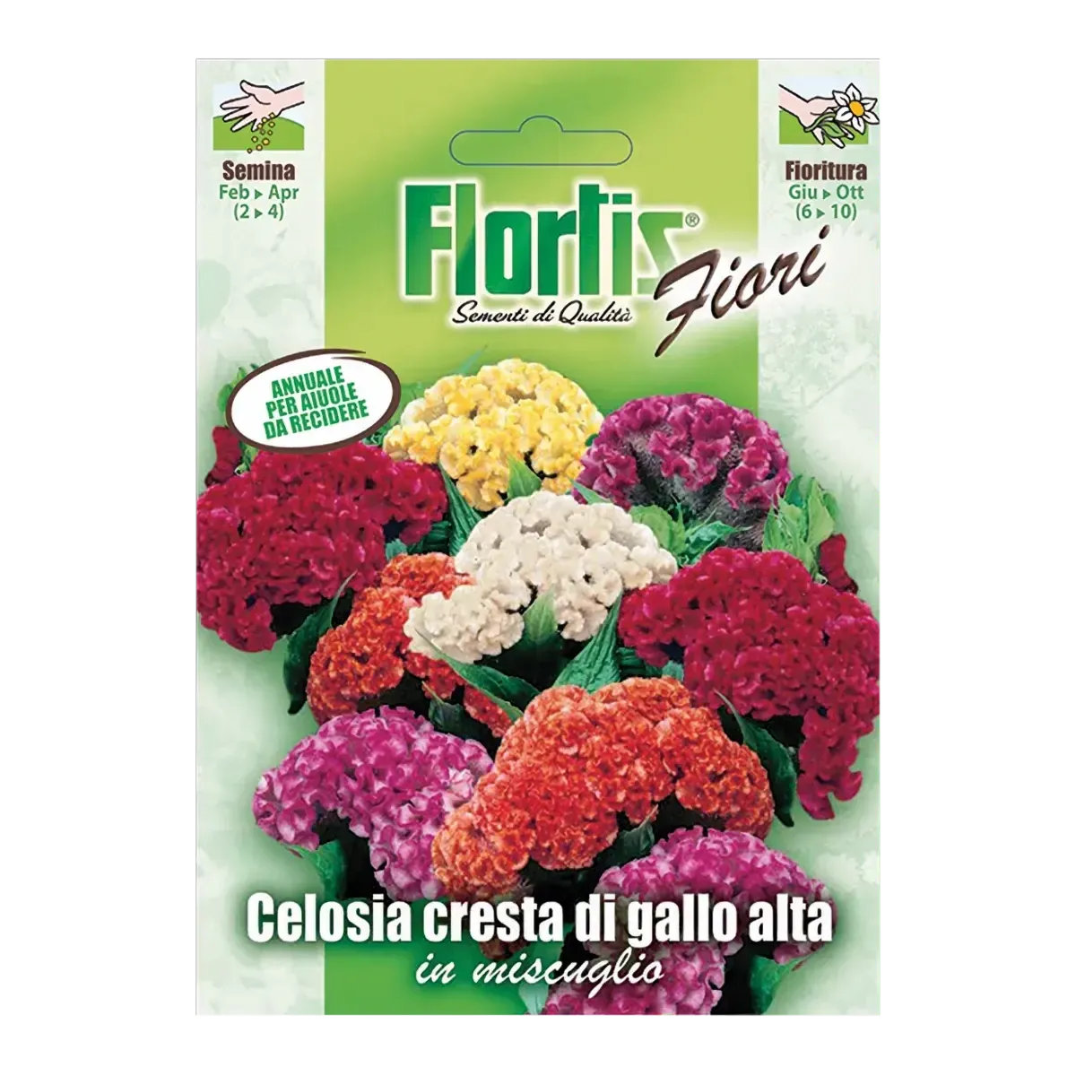 Semi di Celosia Cresta di Gallo FLORTIS