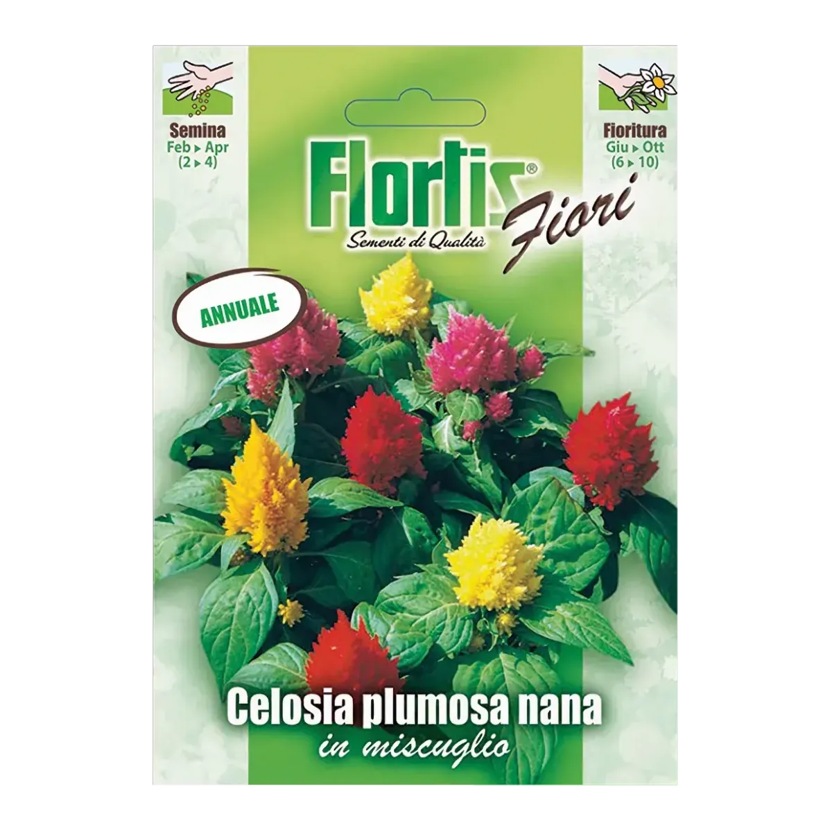 Semi di Celosia Plumosa Nana FLORTIS