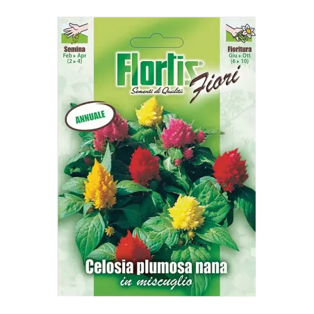 Semi di Celosia Plumosa Nana FLORTIS