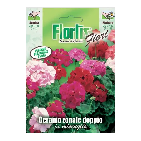 Semi di Geranio Zonale Doppio FLORTIS