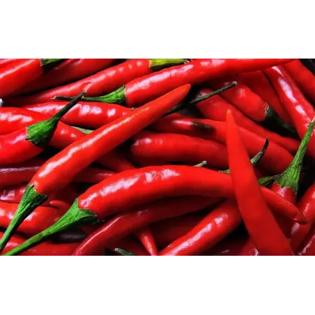 Semi di Peperone Piccante di Cayenna FLORTIS