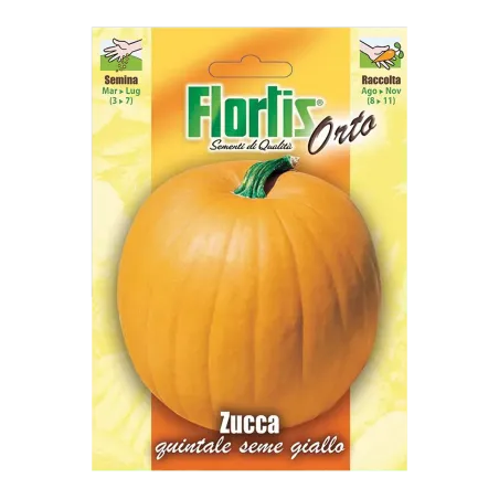 Semi di Zucca Quintale Seme Giallo FLORTIS
