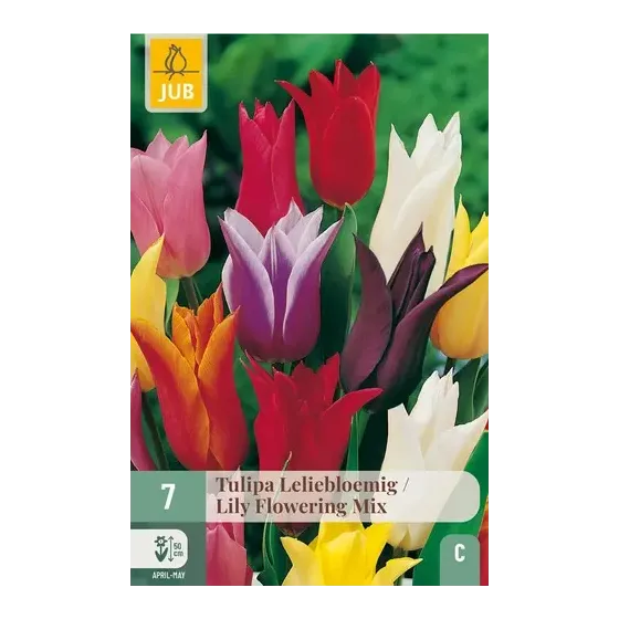 Bulbi di Tulipano Fior di Giglio MIX JUB Holland