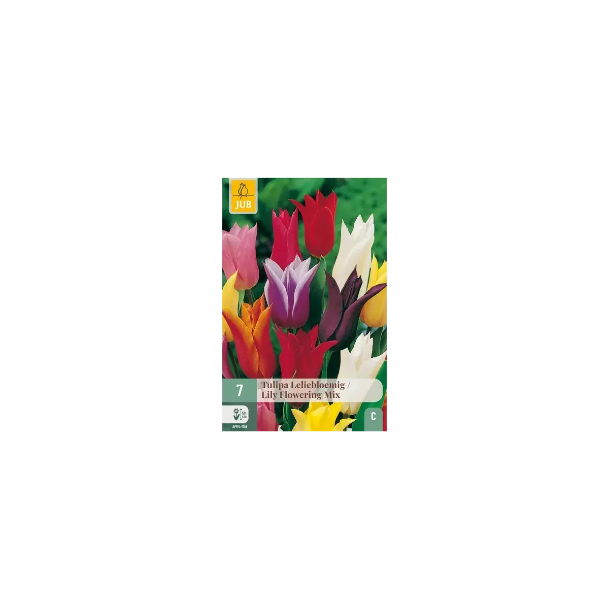 Bulbi di Tulipano Fior di Giglio MIX JUB Holland Bulbi di Tulipano Fior di Giglio MIX JUB Holland