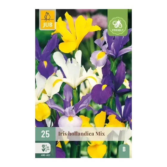 Bulbi di Iris Hollandica MIX JUB Holland