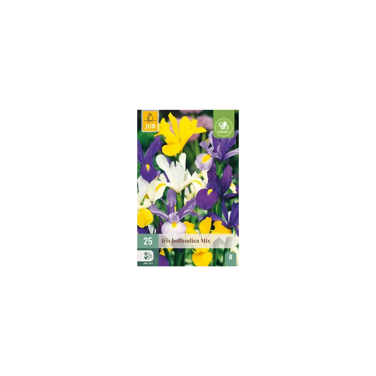 Bulbi di Iris Hollandica MIX JUB Holland Bulbi di Iris Hollandica MIX JUB Holland