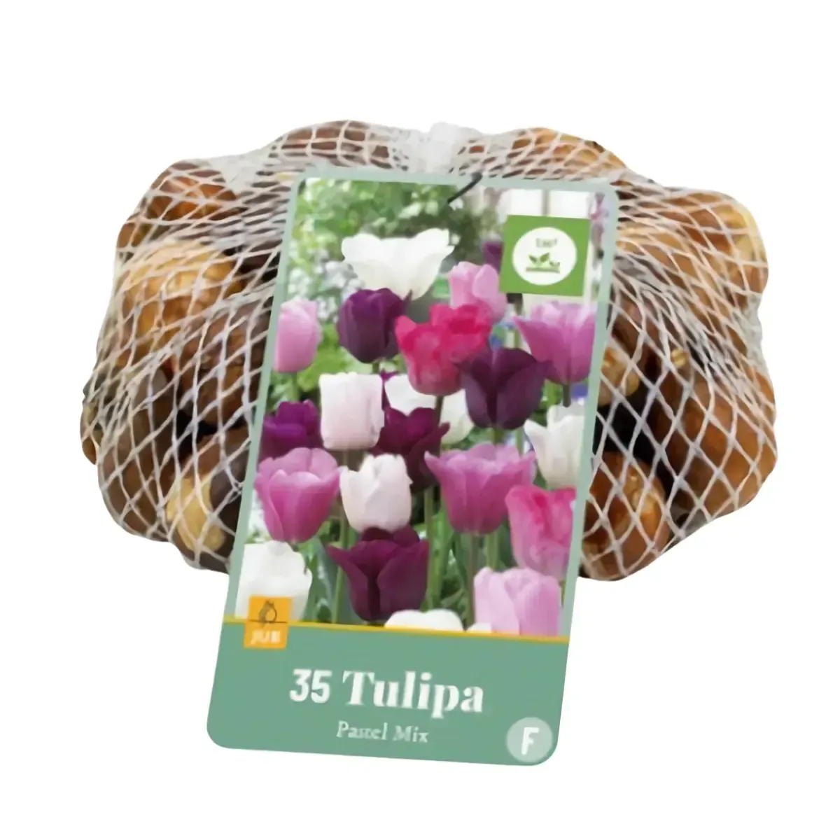 Bulbi di Tulipano Pastello MIX JUB Holland