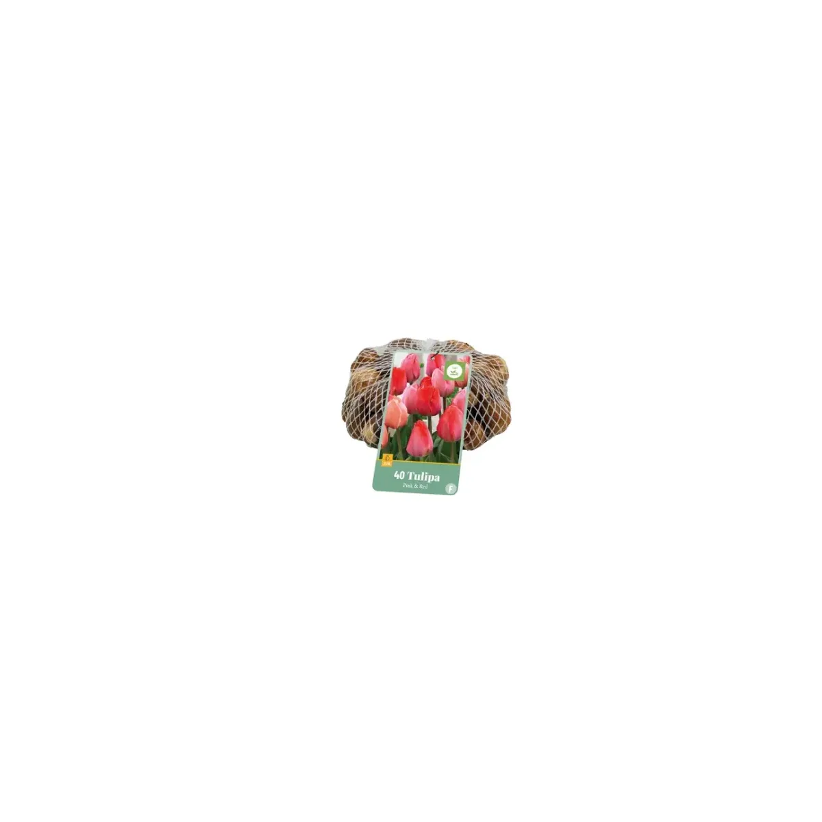 Bulbi di Tulipano Rosso e Rosa MIX JUB Holland